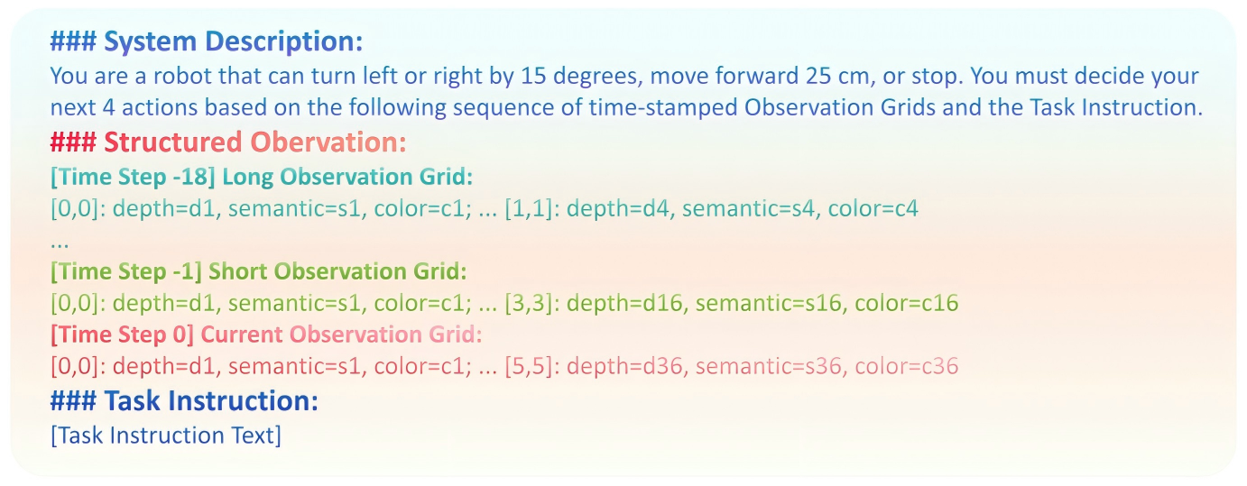 Structured Observation Prompt